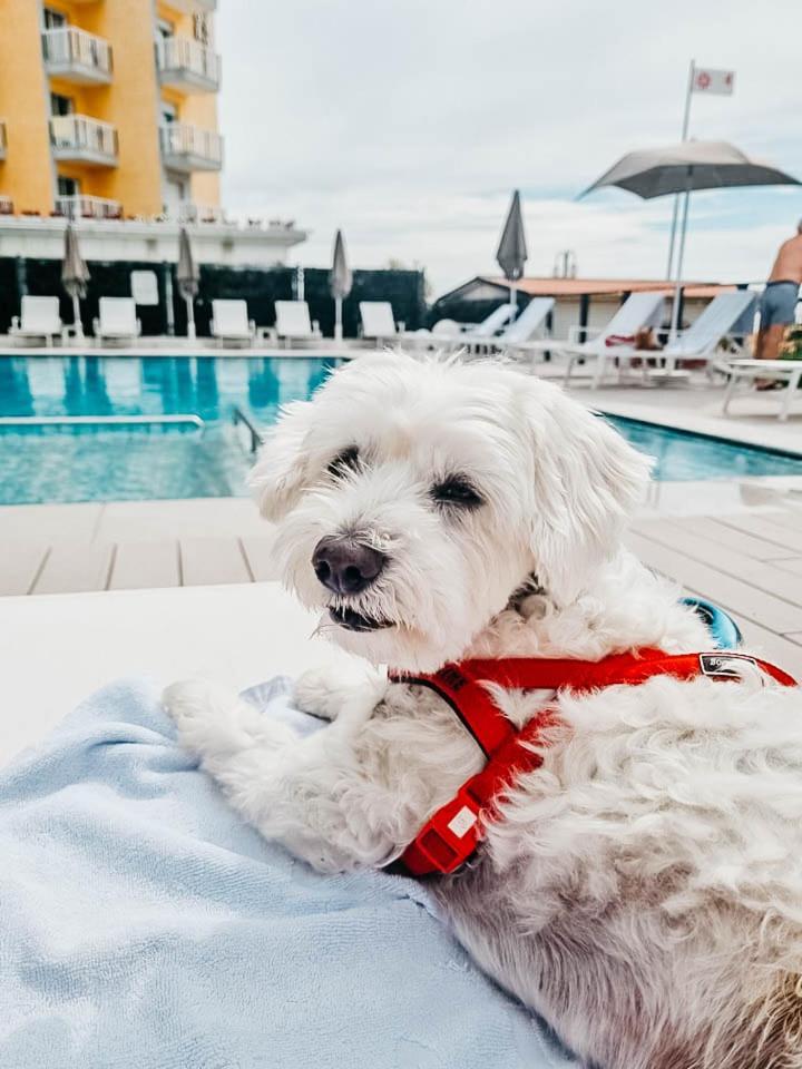 Hotel Adlon Lido di Jesolo Zewnętrze zdjęcie