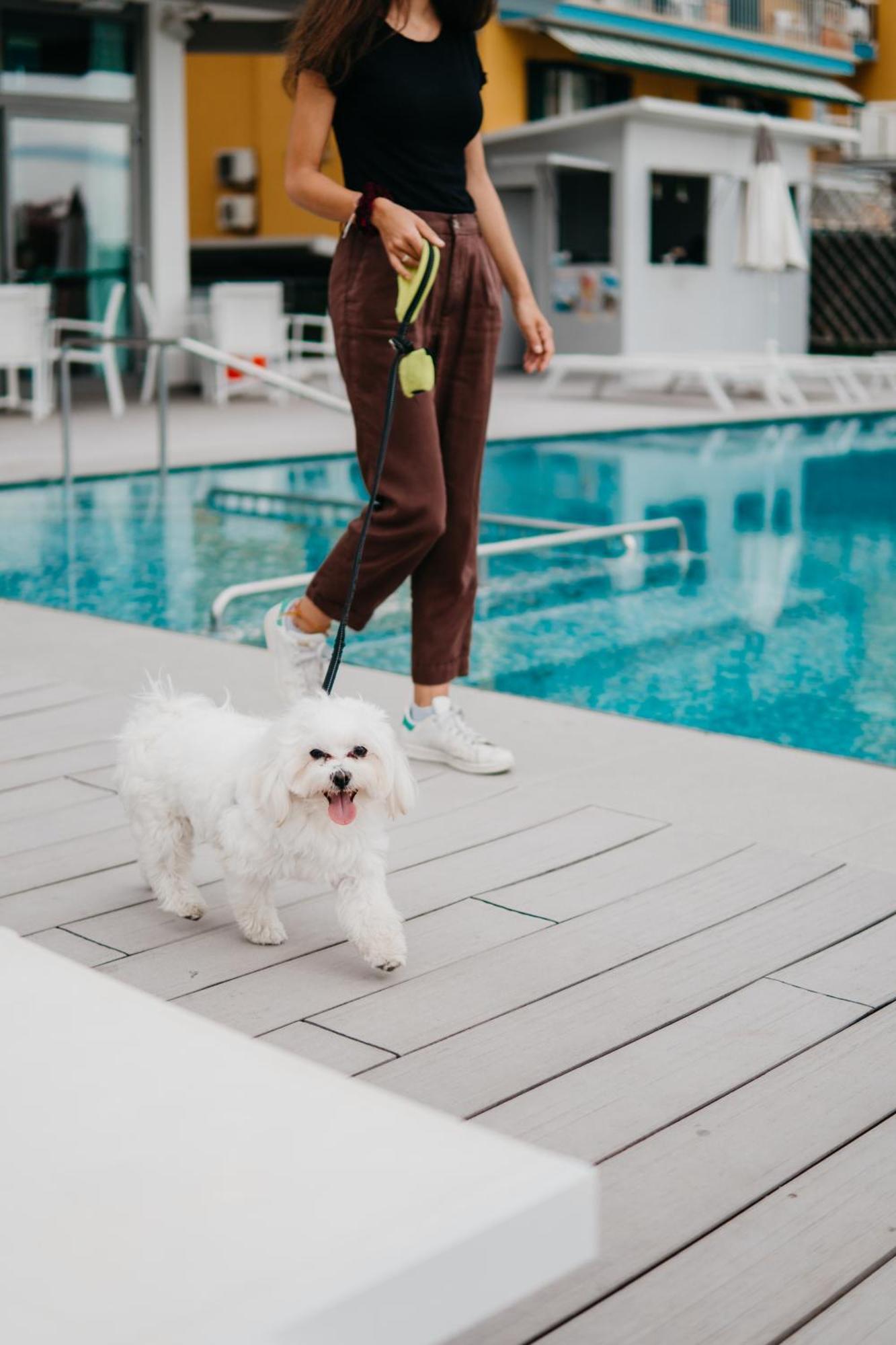 Hotel Adlon Lido di Jesolo Zewnętrze zdjęcie